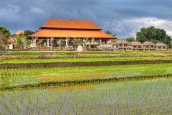 ubud panorama