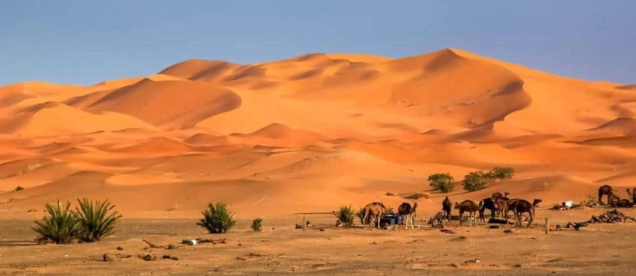 Sahara Desert Tour from Fes to Marrakech