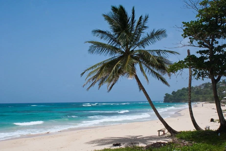 Things to do in Port Antonio, Portland, Jamaica