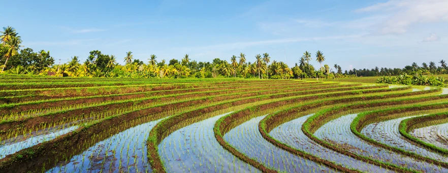 bali indonesia
