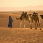 Tour From Marrakech to the Sahara Desert