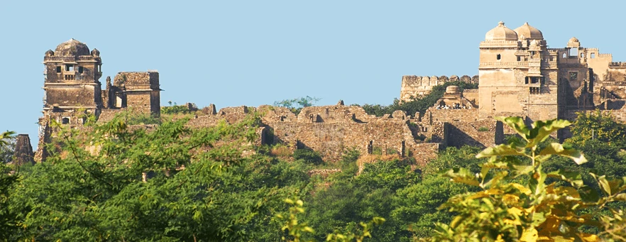 india chittorgarh fort