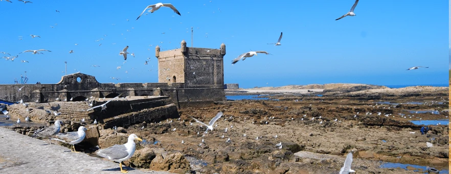 Essaouira