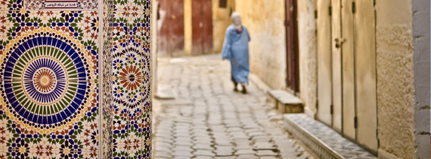 History and The Culture of Fes
