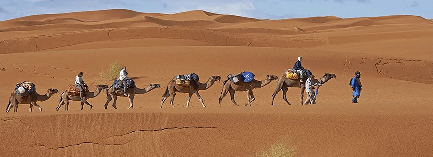 mezzouga camel trek