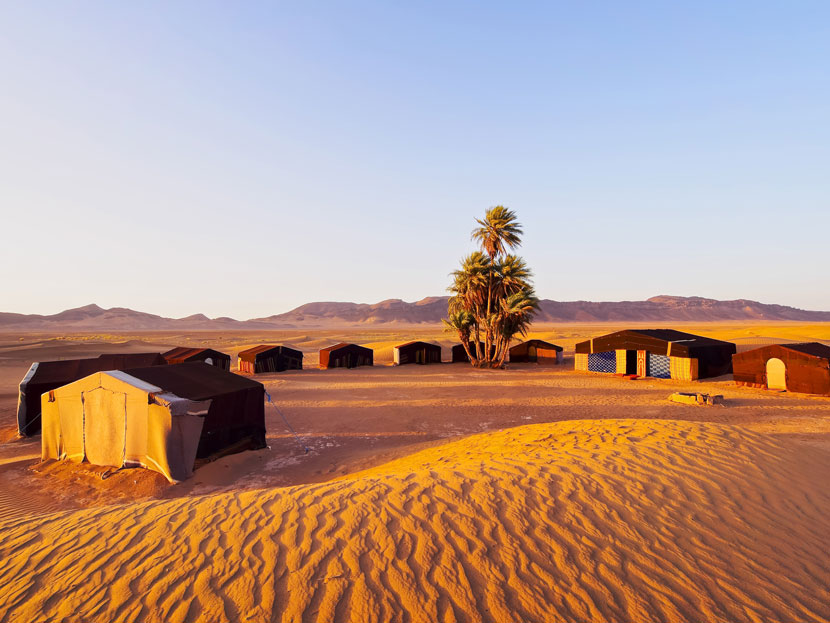 Oasis on the desert, Morocco