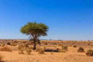 the Sahara desert adventure trip