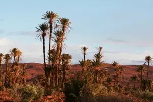 Moroccan landscapes draa valley