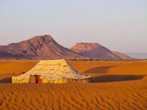 Oasis on the desert, Morocco