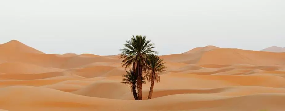 Sahara Desert Tour from Agadir
