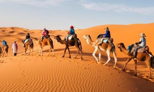 camel trek adventure tour