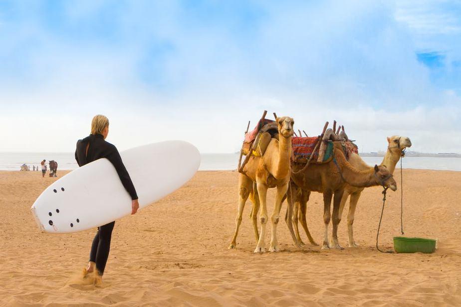 morocco surfing