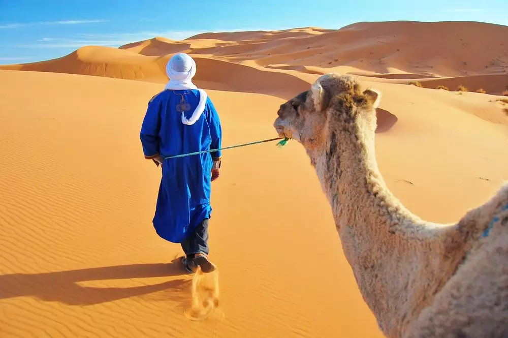 sahara desert morocco