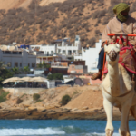 Camel riding in Agadir