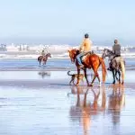 Horse Riding in Morocco