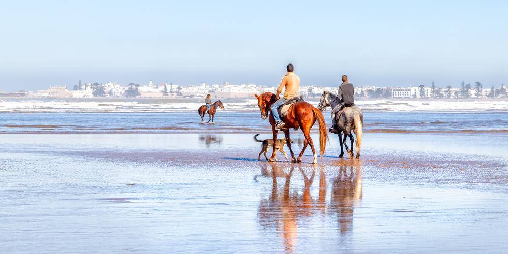 Horse Riding in Morocco