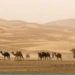 Desert Tours from Marrakech Morocco