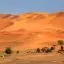 Sahara Desert Tour from Fes to Marrakech