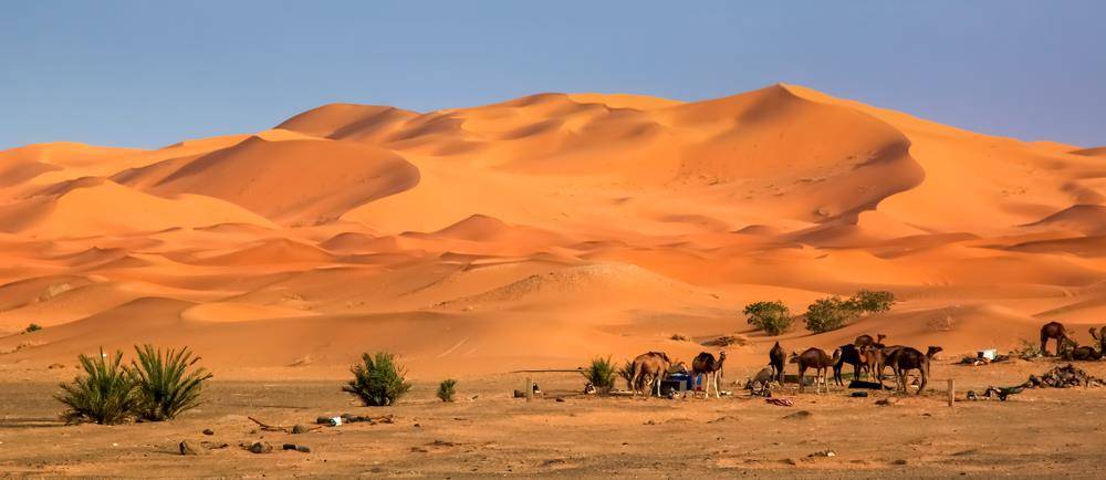 Sahara Desert Tour from Fes to Marrakech