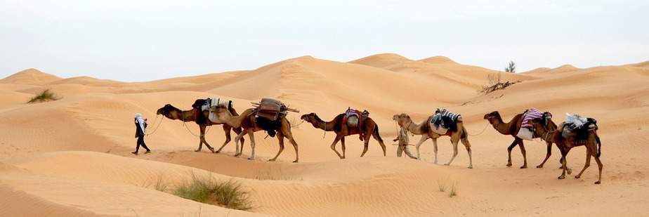 How Far is the Sahara Desert from Marrakech