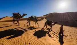 camel safari in Morocco