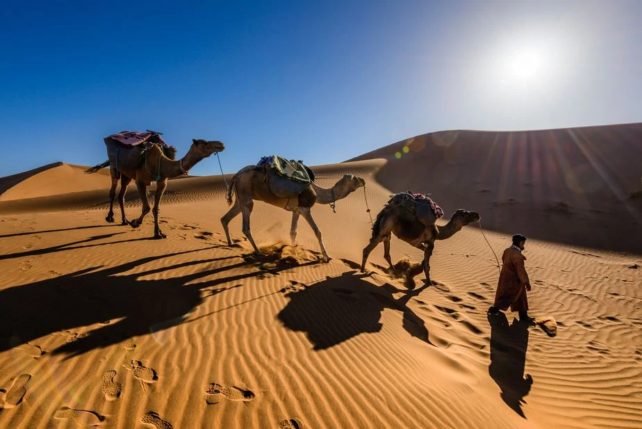 camel safari in Morocco