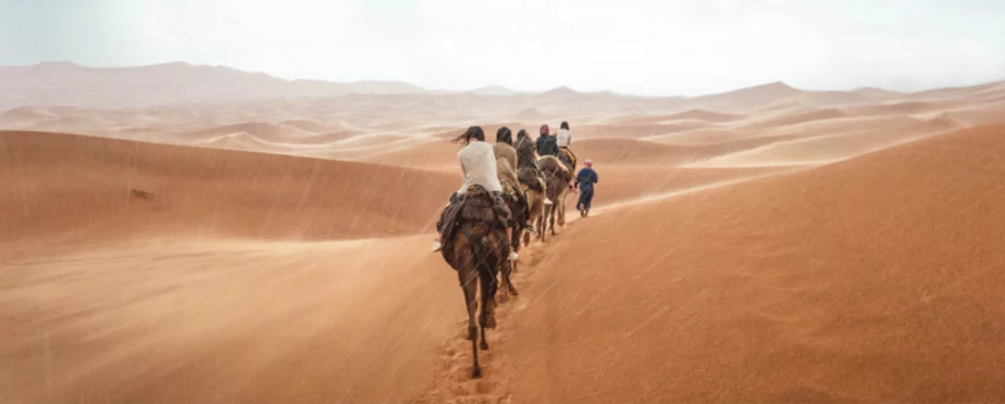 Finding the tour company best suited to your travel requirements