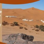 Private or shared tours