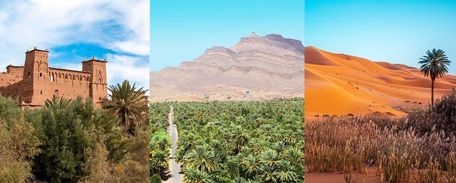 Excursions dans le désert du Maroc