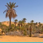 Is the Sahara Desert worth visiting