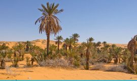 Is the Sahara Desert worth visiting