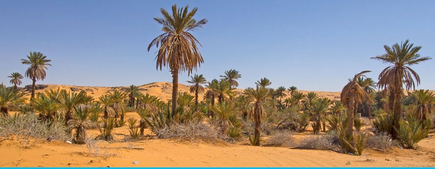 Is de Sahara woestijn een bezoek waard