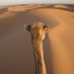 Morocco Private Tours