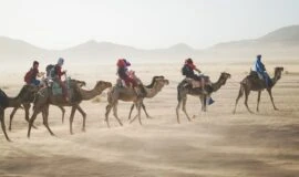 Do tourists visit the Sahara desert?
