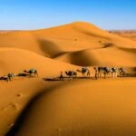 Unveiling the Cost of Exploring the Majestic Sahara Desert