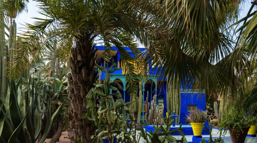 Marrakech - Jardins Majorelle
