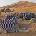 3-day Desert Tour From Marrakech Highlights