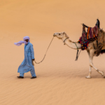 Best Sahara Desert Tours from Marrakech